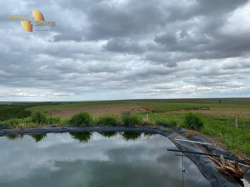 Farm for sale of 1,409 acres in Primavera do Leste, MT, Brazil