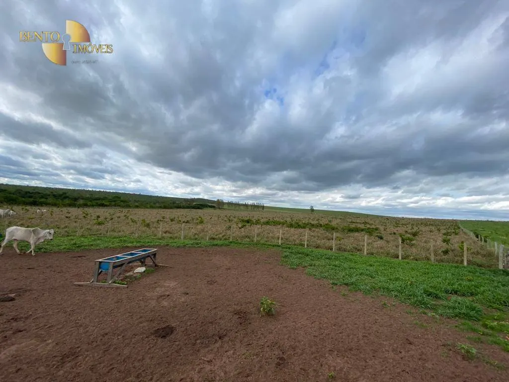 Farm for sale of 1,409 acres in Primavera do Leste, MT, Brazil