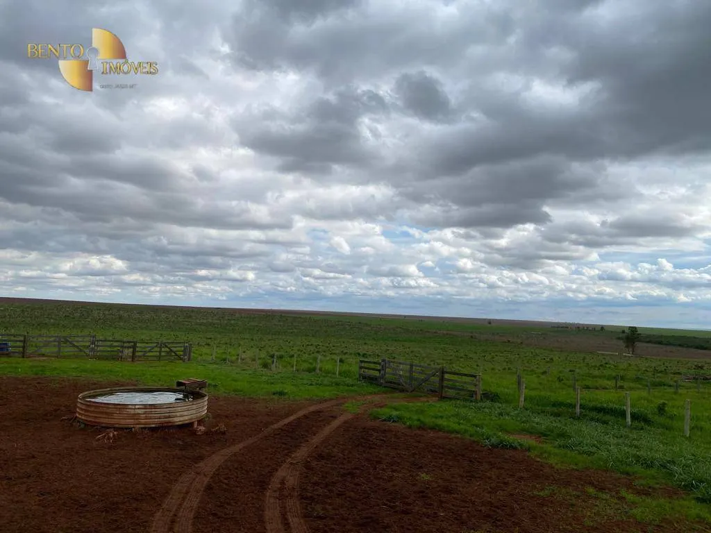 Farm for sale of 1,409 acres in Primavera do Leste, MT, Brazil