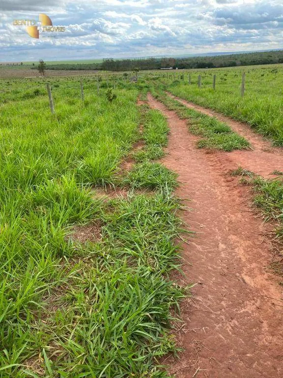 Farm for sale of 1,409 acres in Primavera do Leste, MT, Brazil