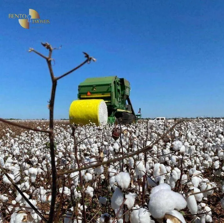 Fazenda à venda e para Arrendar de 5.468 ha em Nova Maringá, MT, Brasil