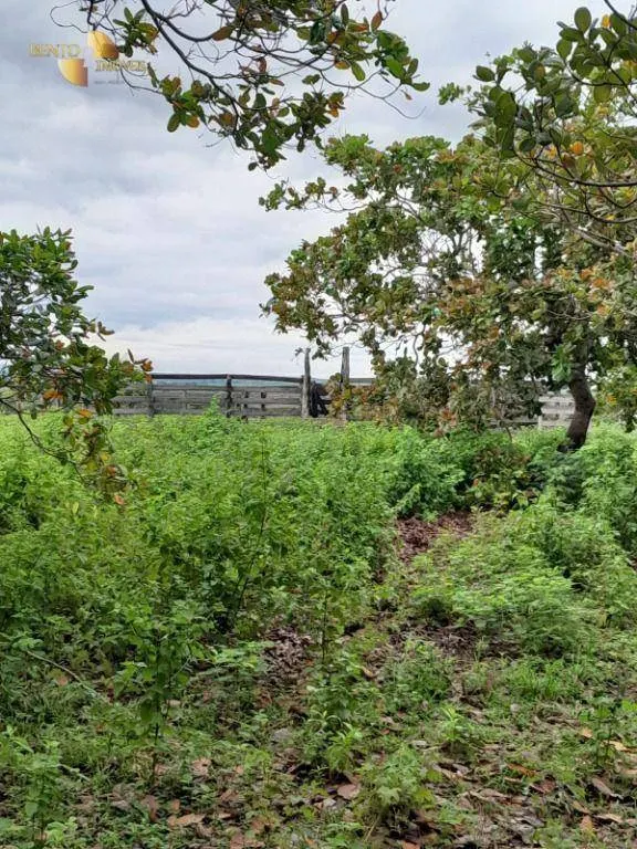 Sítio à venda de 40 ha em Nobres, MT, Brasil