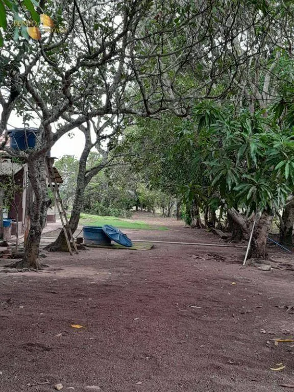 Small farm for sale of 99 acres in Nobres, MT, Brazil