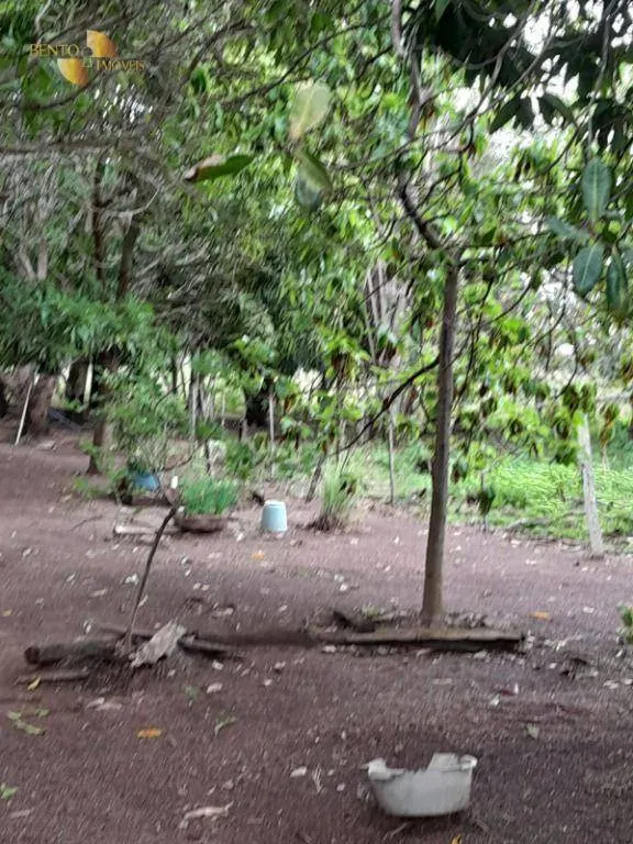Small farm for sale of 99 acres in Nobres, MT, Brazil
