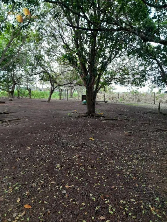 Small farm for sale of 99 acres in Nobres, MT, Brazil
