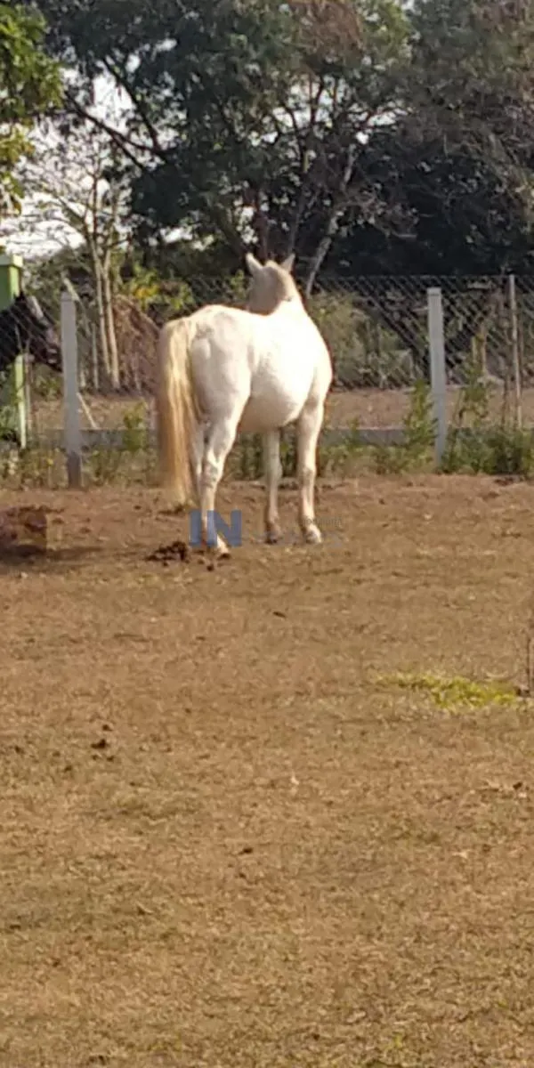 Chácara à venda de 2 ha em Salto, SP, Brasil