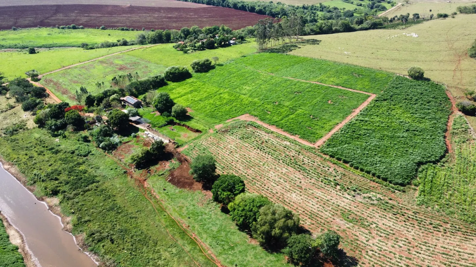 Sítio à venda de 5 ha em Fartura, SP, Brasil