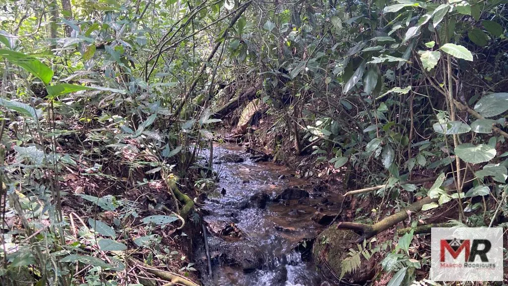 Plot for sale of 4 acres in Estiva, MG, Brazil