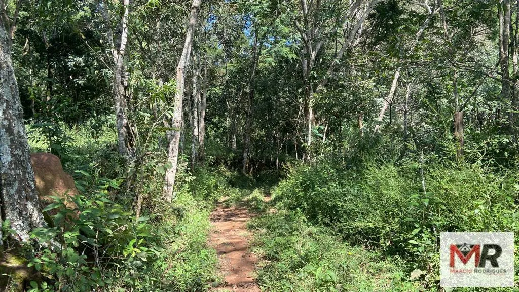 Plot for sale of 4 acres in Estiva, MG, Brazil