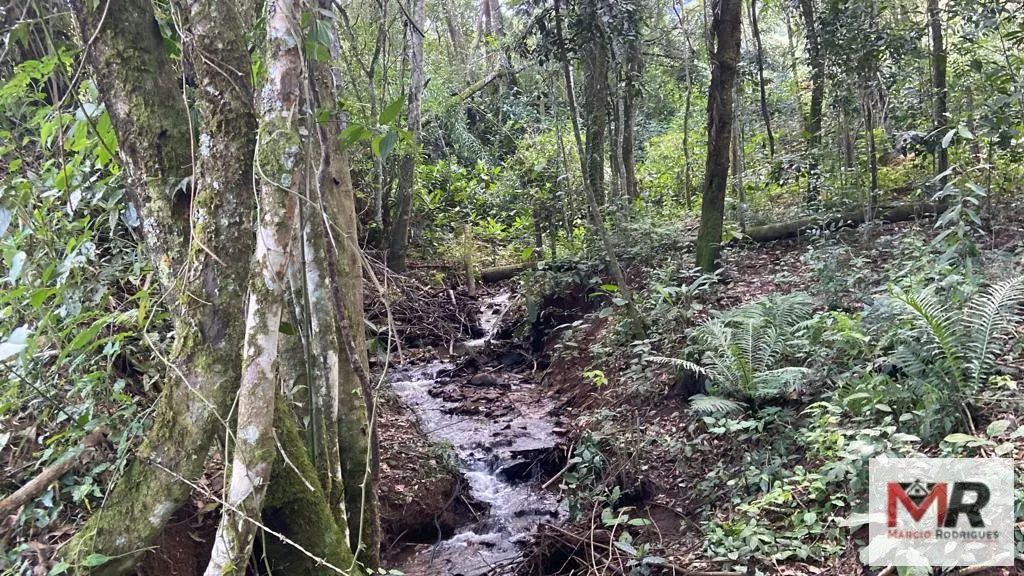 Plot for sale of 4 acres in Estiva, MG, Brazil