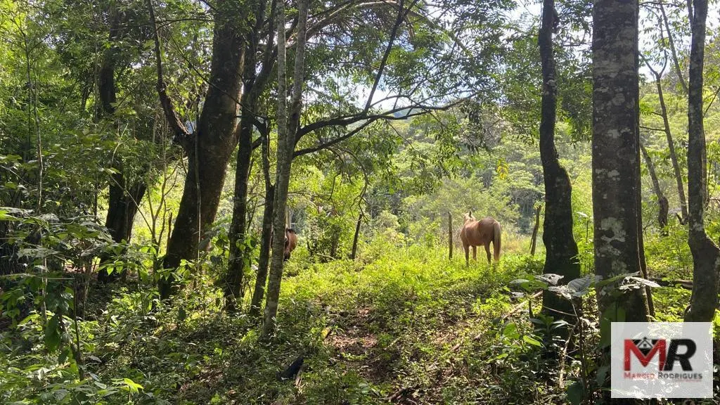 Plot for sale of 4 acres in Estiva, MG, Brazil