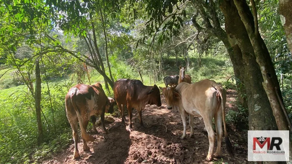 Plot for sale of 4 acres in Estiva, MG, Brazil