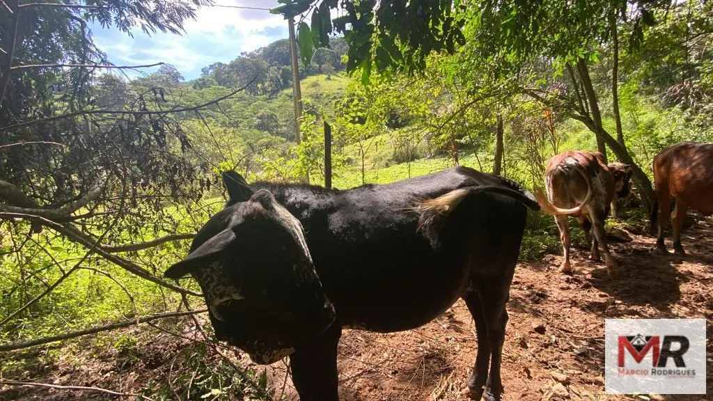Plot for sale of 4 acres in Estiva, MG, Brazil