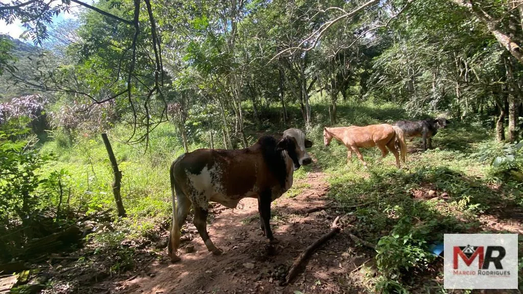 Plot for sale of 4 acres in Estiva, MG, Brazil