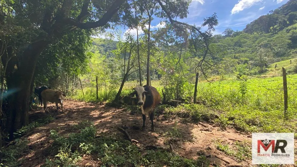 Plot for sale of 4 acres in Estiva, MG, Brazil