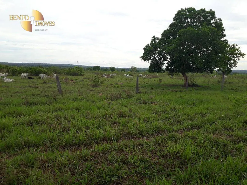 Fazenda à venda de 900 ha em General Carneiro, MT, Brasil