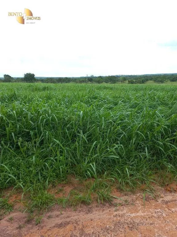 Fazenda à venda de 900 ha em General Carneiro, MT, Brasil