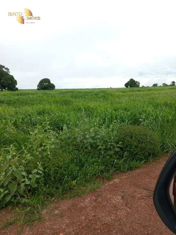 Fazenda à venda de 900 ha em General Carneiro, MT, Brasil