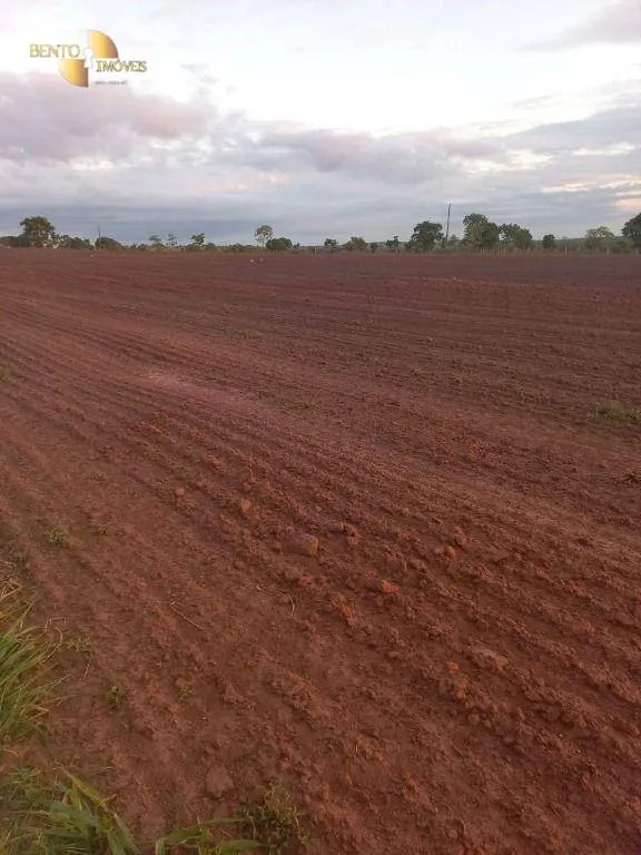 Fazenda à venda de 900 ha em General Carneiro, MT, Brasil