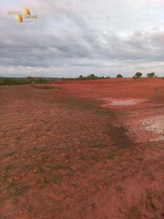 Fazenda à venda de 900 ha em General Carneiro, MT, Brasil