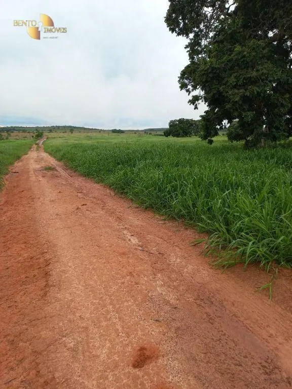 Fazenda à venda de 900 ha em General Carneiro, MT, Brasil