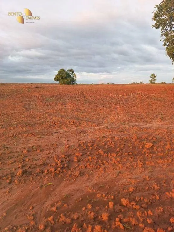 Fazenda à venda de 900 ha em General Carneiro, MT, Brasil