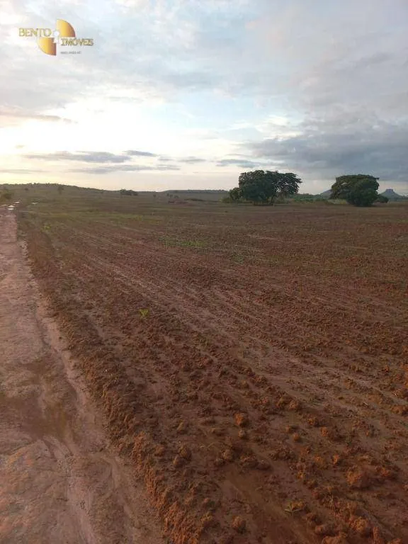 Fazenda à venda de 900 ha em General Carneiro, MT, Brasil