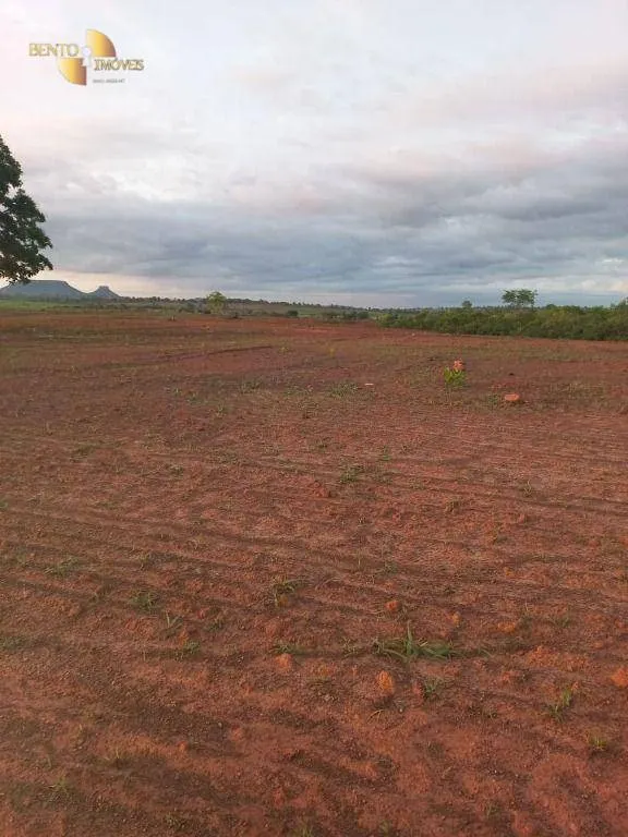 Fazenda à venda de 900 ha em General Carneiro, MT, Brasil