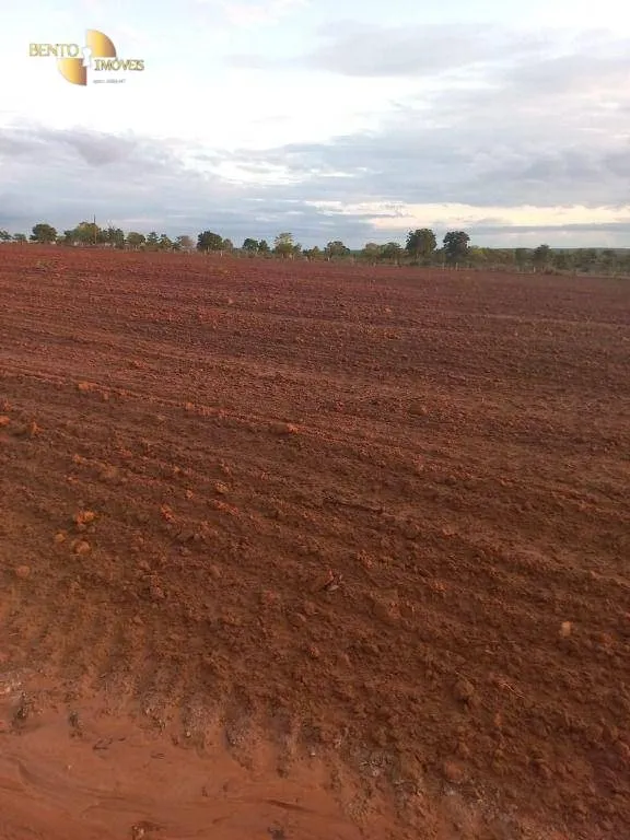 Fazenda à venda de 900 ha em General Carneiro, MT, Brasil