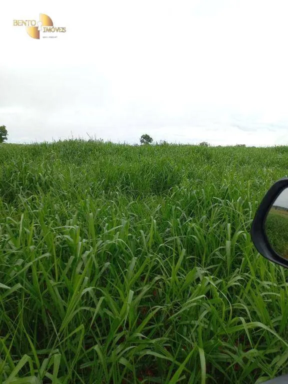 Fazenda à venda de 900 ha em General Carneiro, MT, Brasil