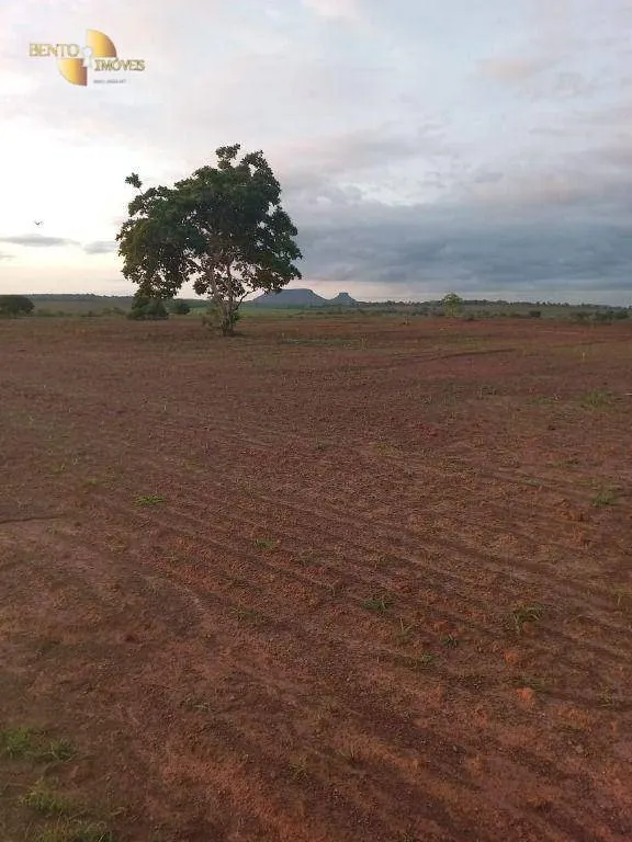 Fazenda à venda de 900 ha em General Carneiro, MT, Brasil