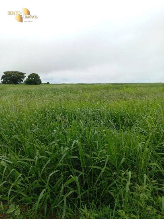 Fazenda à venda de 900 ha em General Carneiro, MT, Brasil