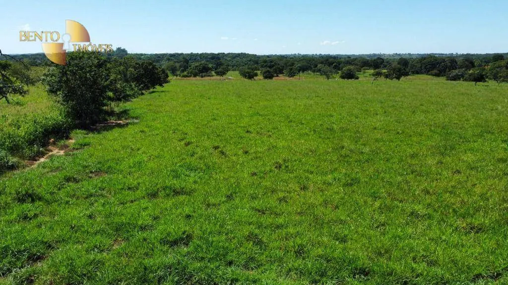 Fazenda à venda de 445 ha em Jangada, MT, Brasil
