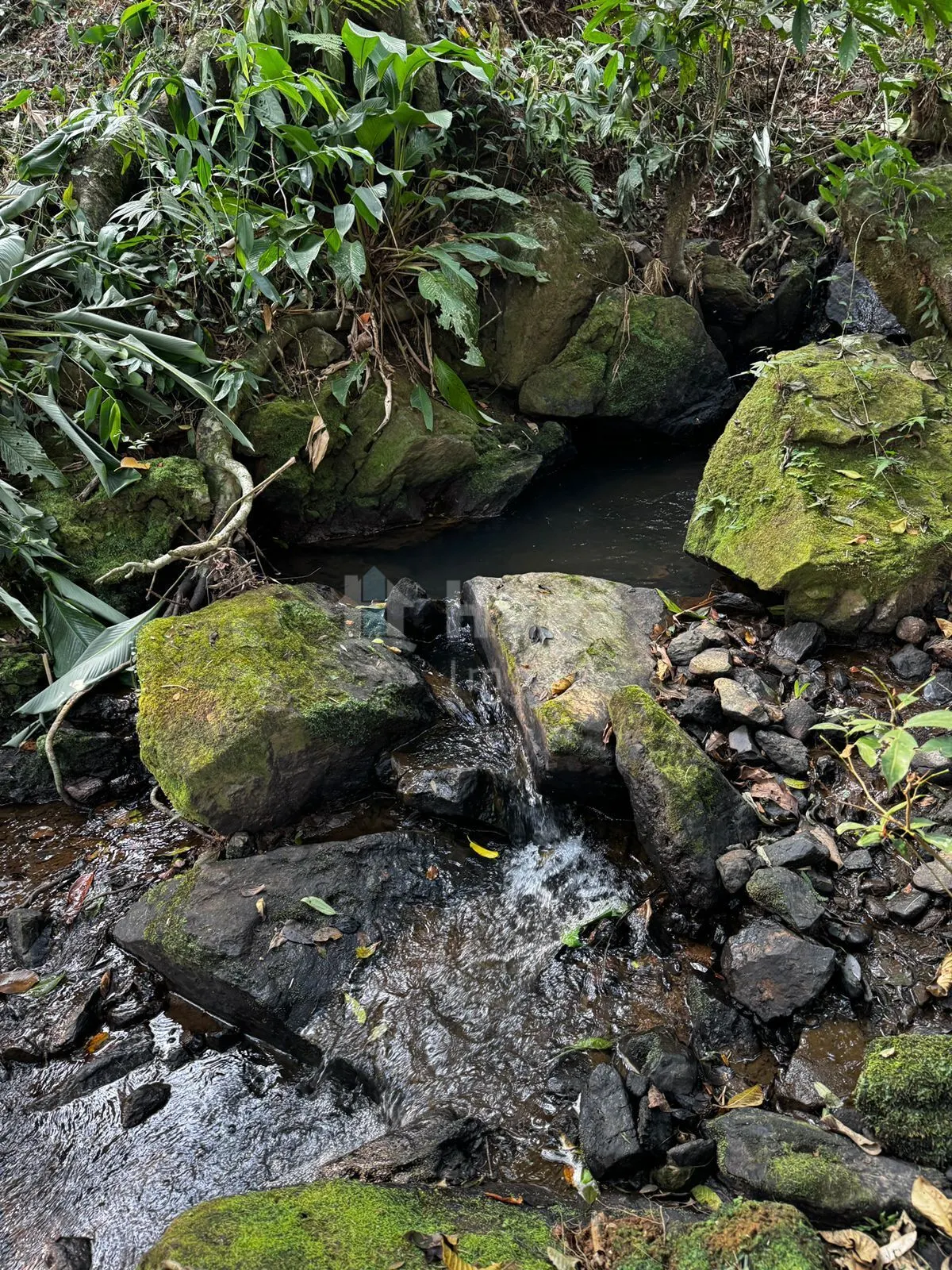 Fazenda à venda de 8.044 m² em Canelinha, SC, Brasil