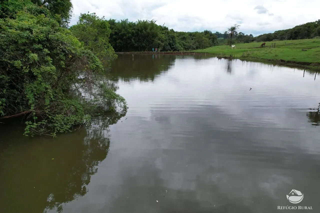 Fazenda à venda de 100 ha em Cajuru, SP, Brasil