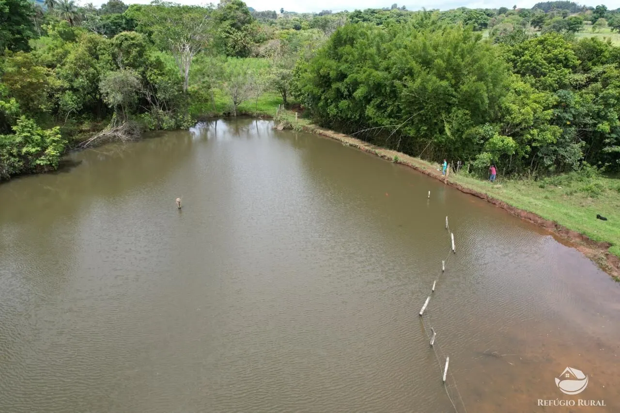 Fazenda à venda de 100 ha em Cajuru, SP, Brasil