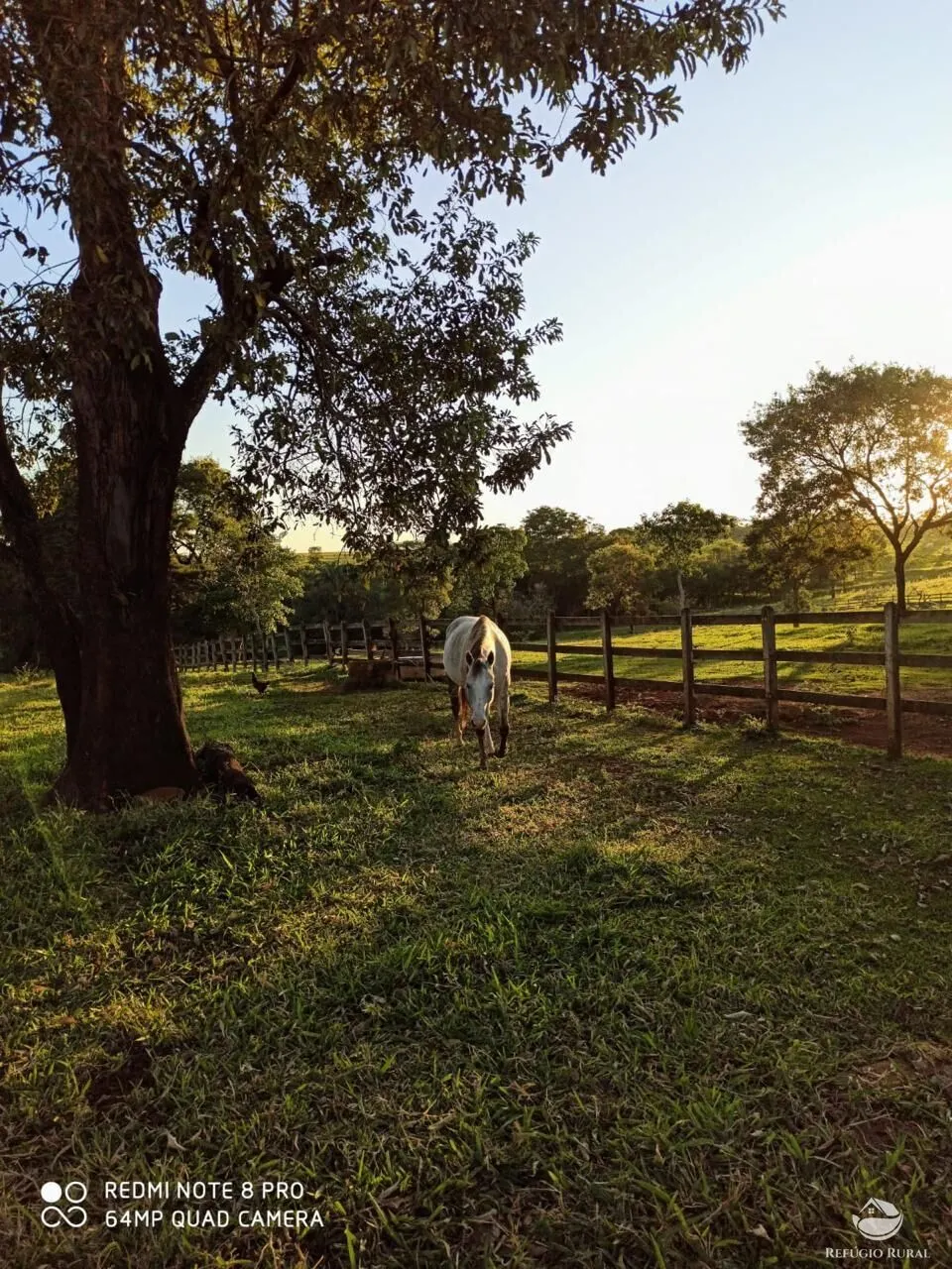 Fazenda à venda de 100 ha em Cajuru, SP, Brasil