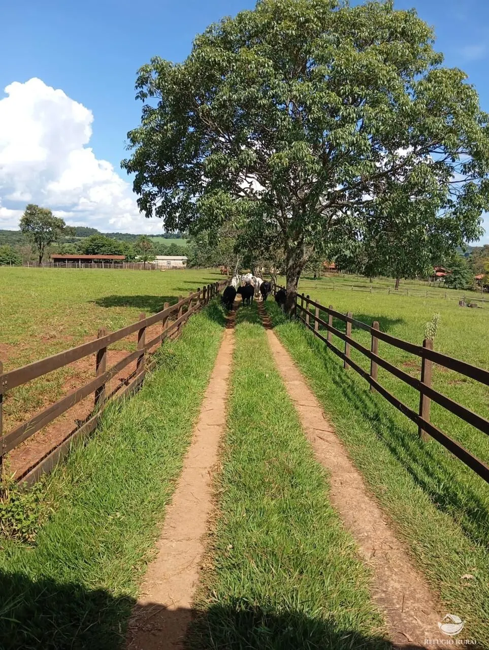 Fazenda à venda de 100 ha em Cajuru, SP, Brasil