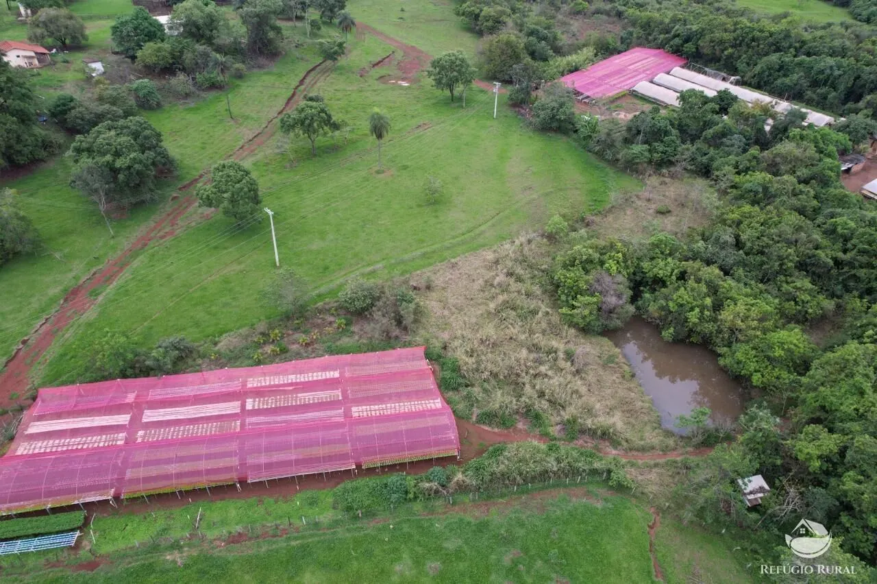Fazenda à venda de 100 ha em Cajuru, SP, Brasil