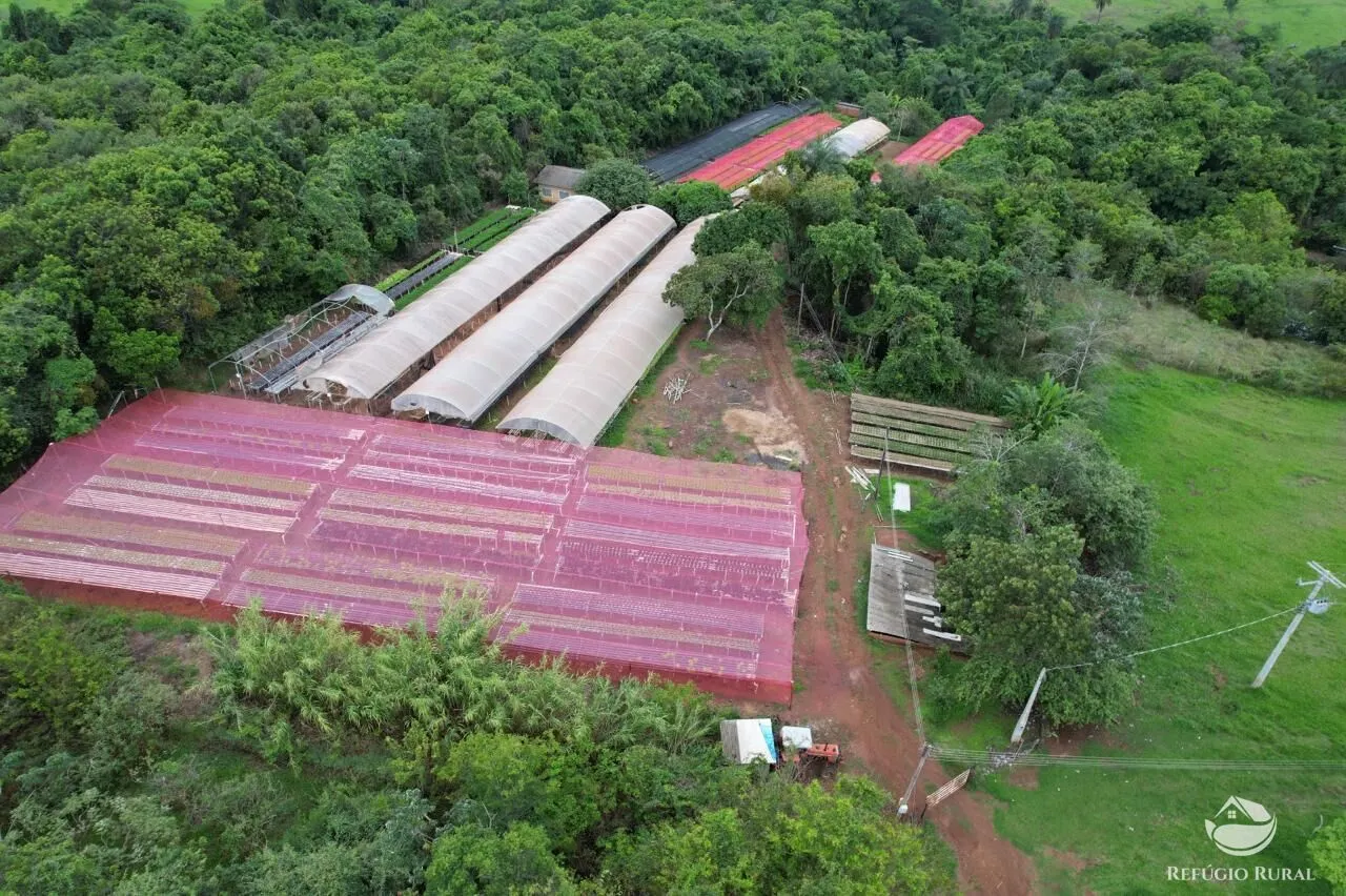Fazenda à venda de 100 ha em Cajuru, SP, Brasil