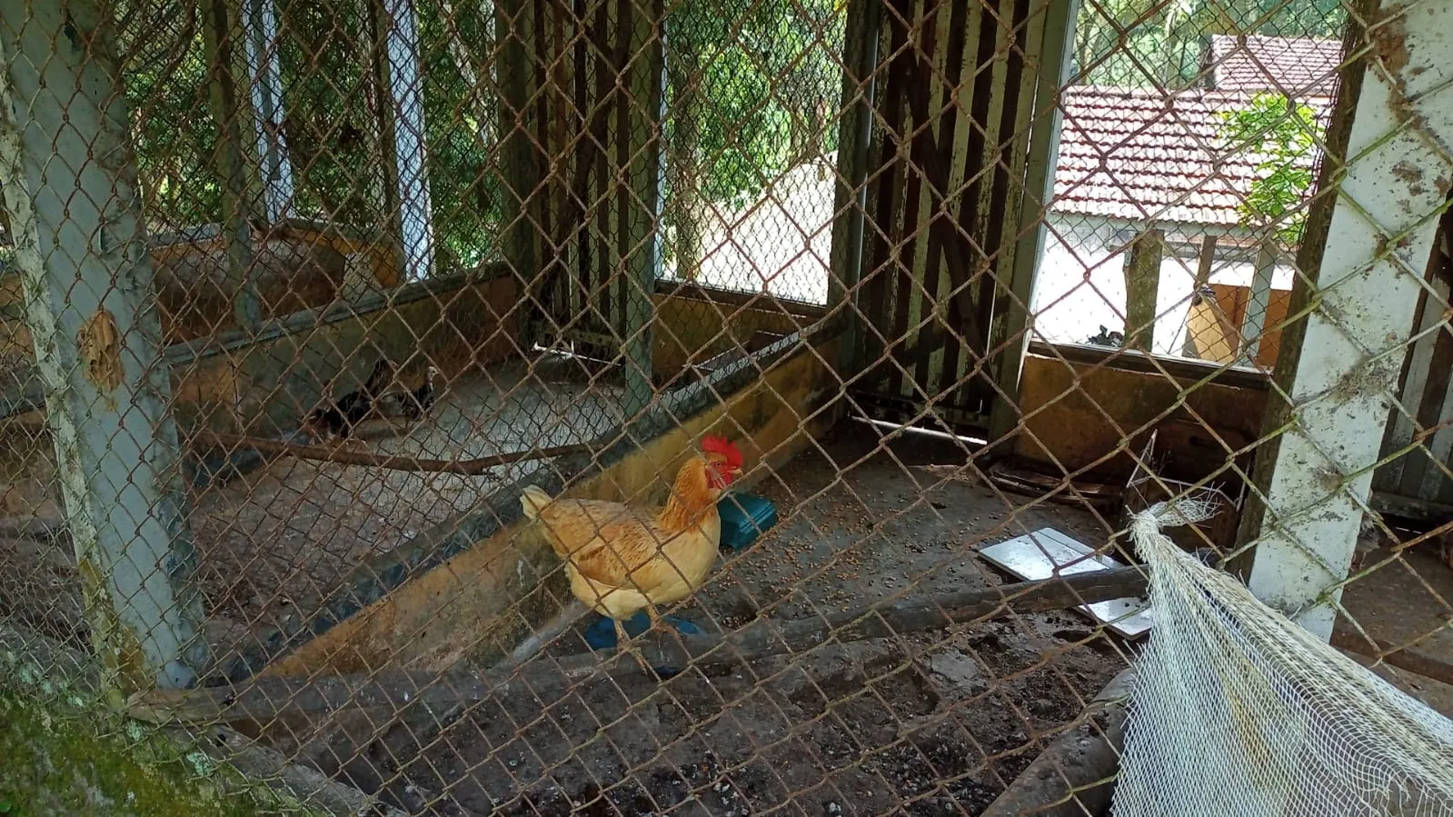 Fazenda à venda de 397 ha em São José dos Campos, SP, Brasil