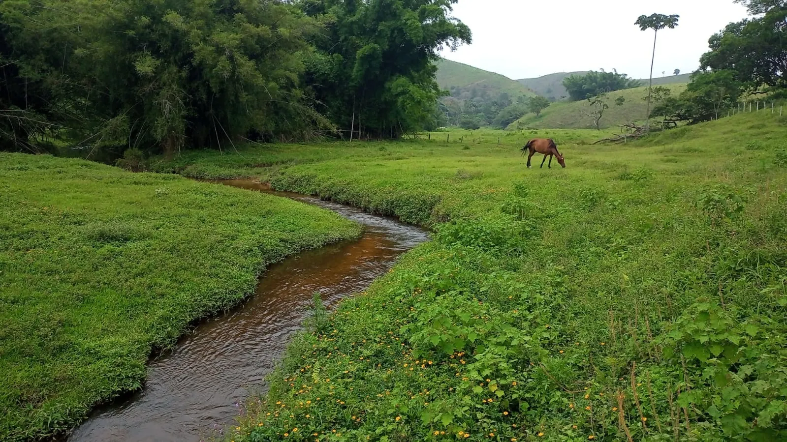 Fazenda à venda de 397 ha em São José dos Campos, SP, Brasil