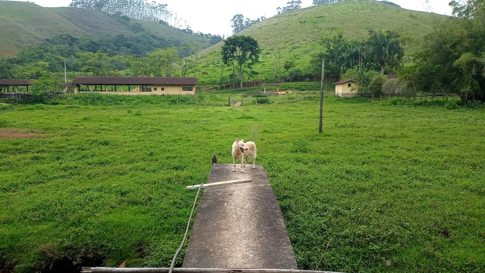 Fazenda à venda de 397 ha em São José dos Campos, SP, Brasil