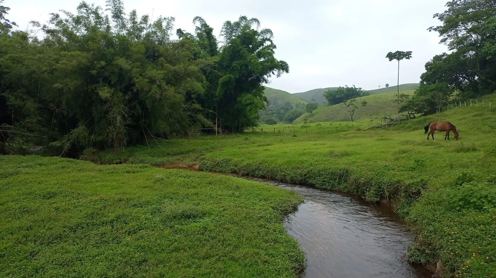 Fazenda à venda de 397 ha em São José dos Campos, SP, Brasil