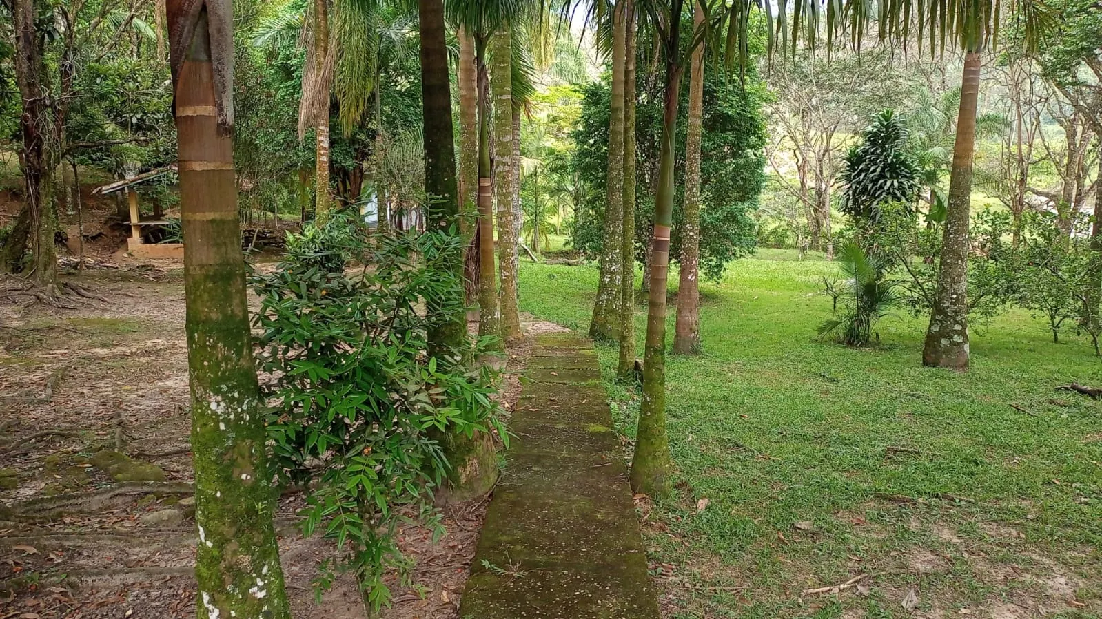 Fazenda à venda de 397 ha em São José dos Campos, SP, Brasil