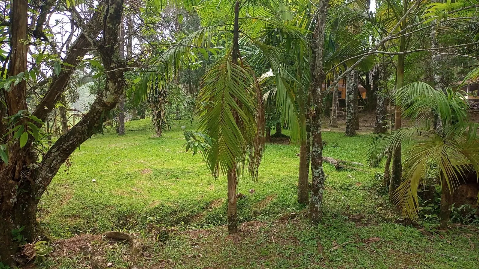 Fazenda à venda de 397 ha em São José dos Campos, SP, Brasil