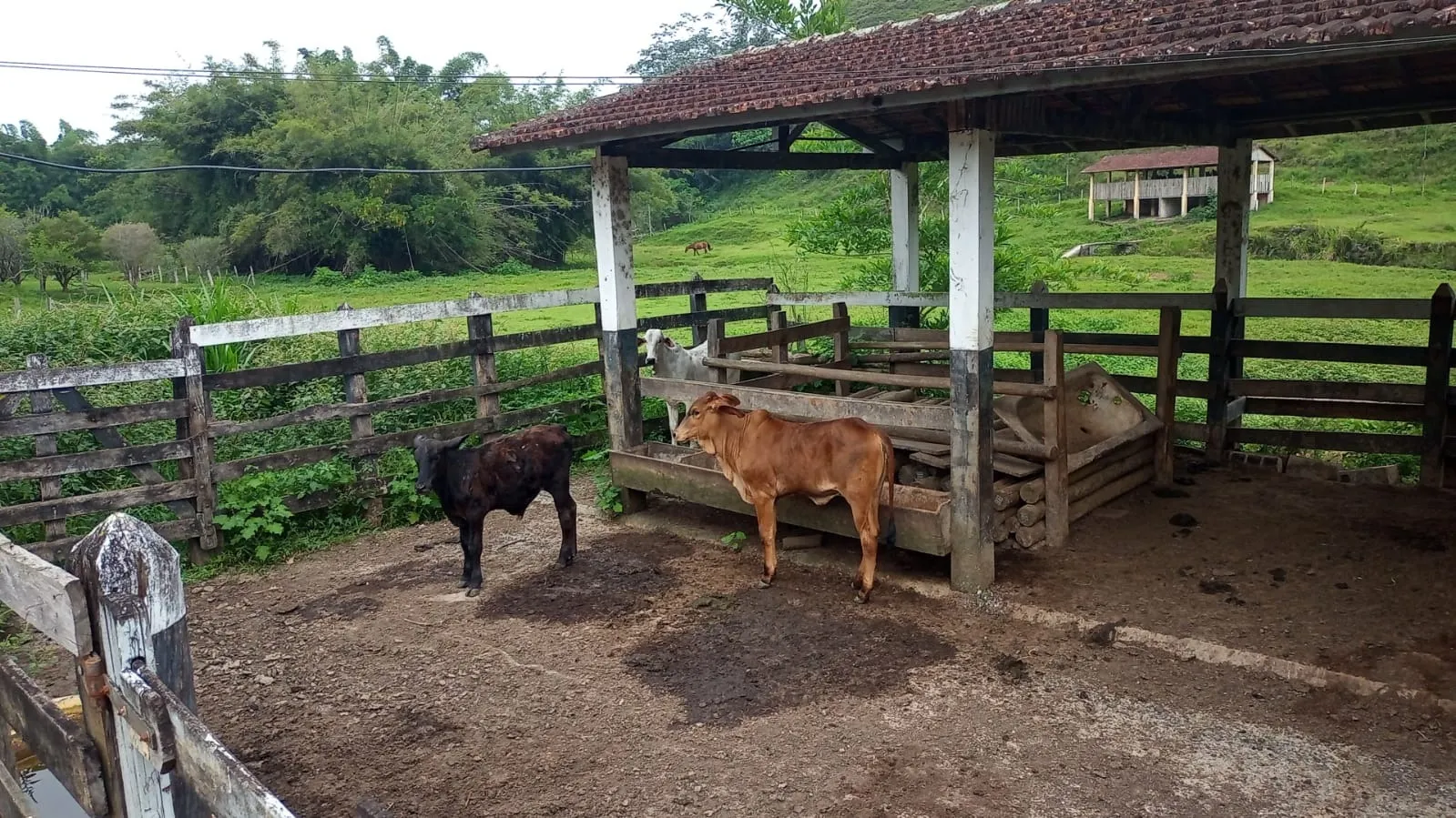 Fazenda à venda de 397 ha em São José dos Campos, SP, Brasil