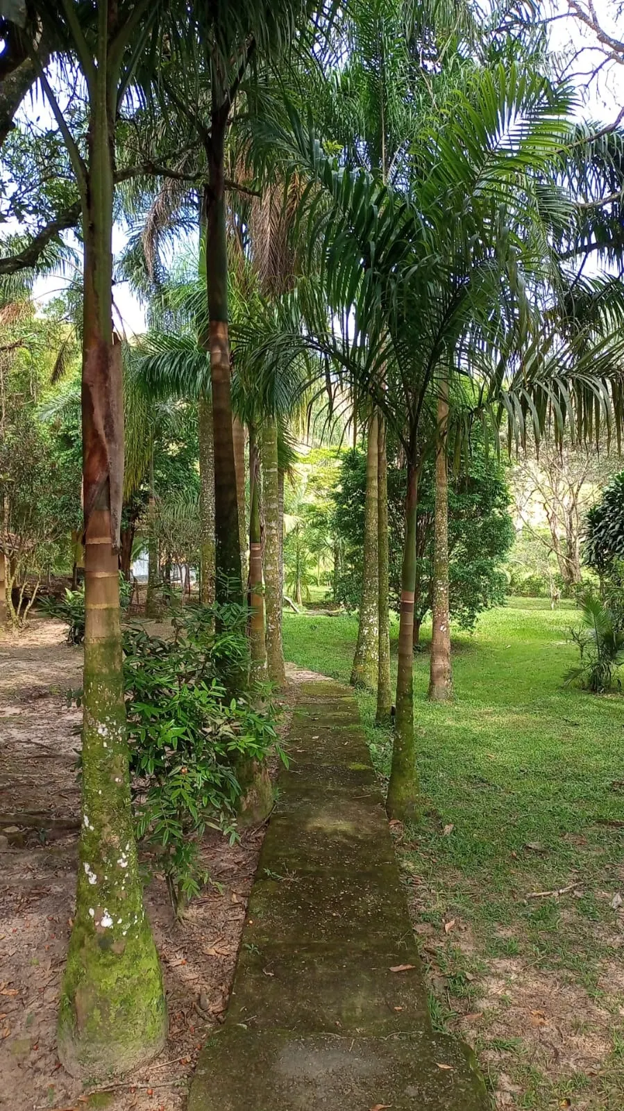 Fazenda à venda de 397 ha em São José dos Campos, SP, Brasil