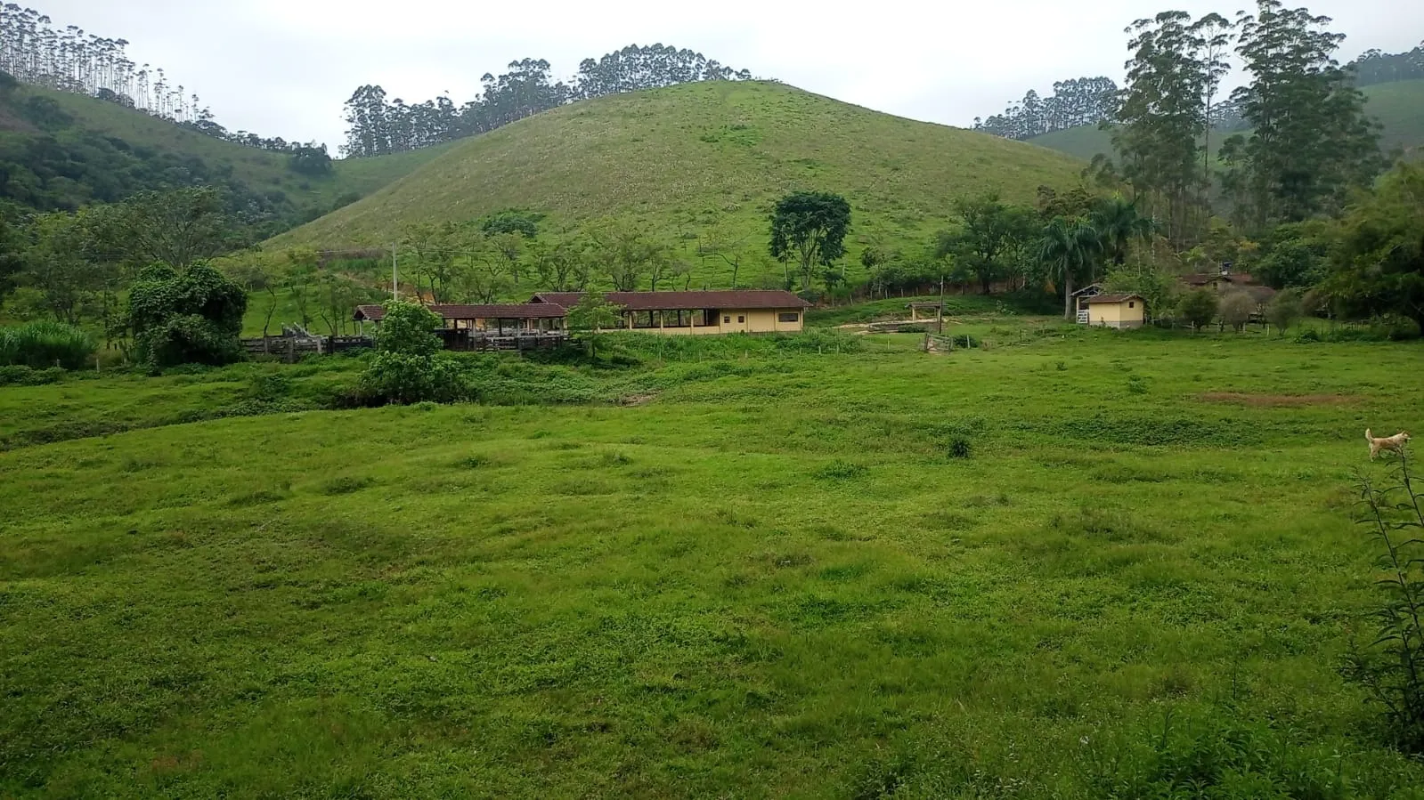 Fazenda à venda de 397 ha em São José dos Campos, SP, Brasil