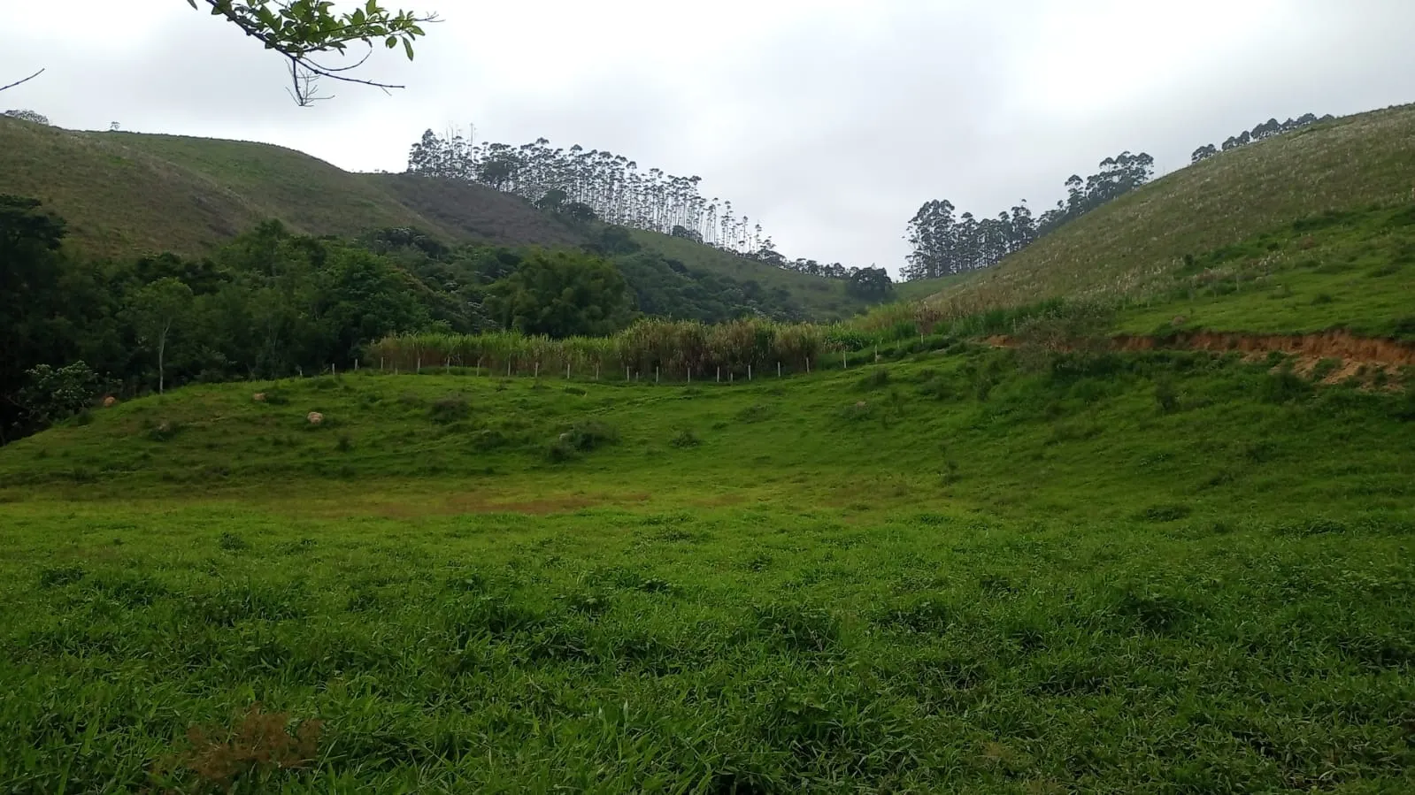 Fazenda à venda de 397 ha em São José dos Campos, SP, Brasil